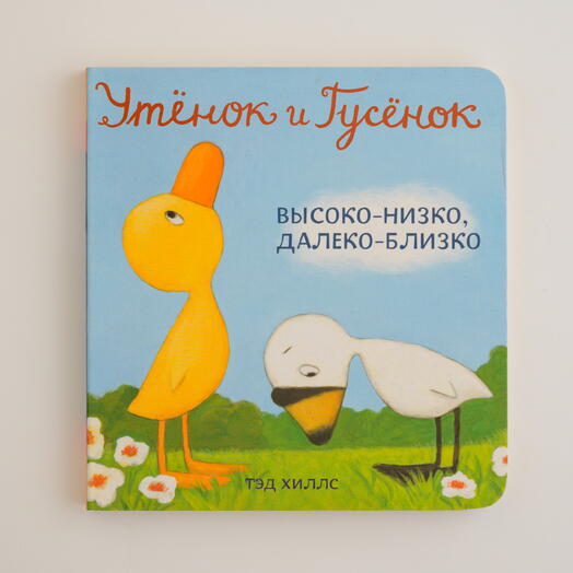 "Утенок и гусенок. Высоко и низко, далеко и близко"
