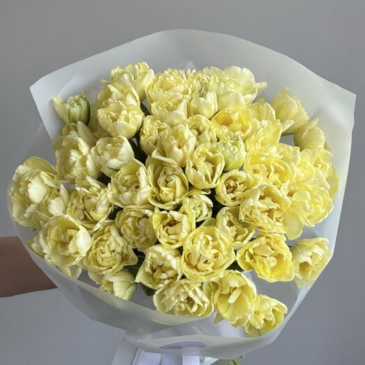 51 пионовидный тюльпан Limoncello