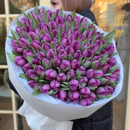 101 фиолетовый тюльпан