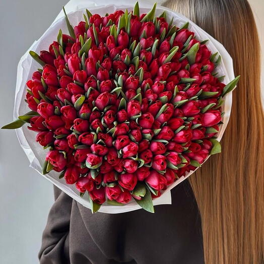 Tulipas vermelhas 100 hastes