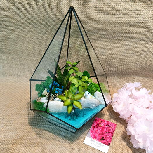 Флорариум "Побережье"