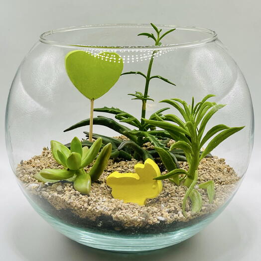 Флорариум с солнечным зайцем и сердцем «Весна внутри» — сад с суккулентами