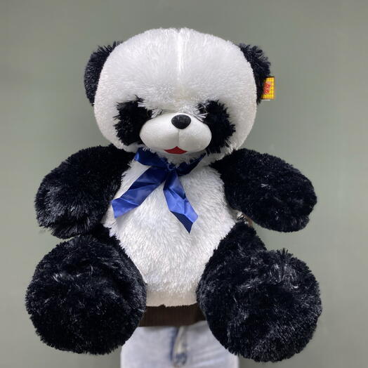 Панда 🐼