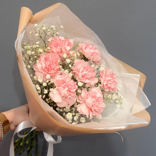 Bouquet of 7 dianthuses and gypsophila