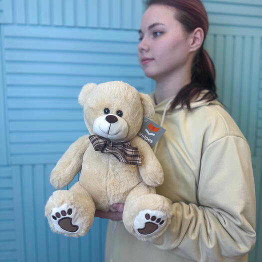 Плюшевый мишка 🧸