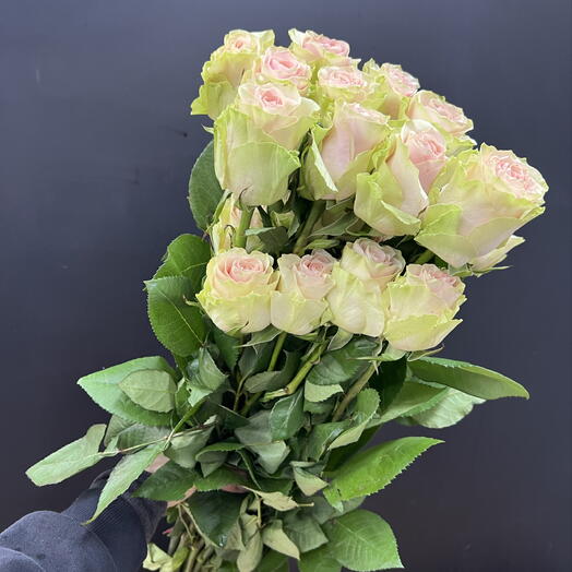 Пачка розы розовые импорт (25 шт)