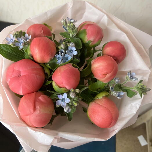 Коралловые пионы и Голубые незабудки