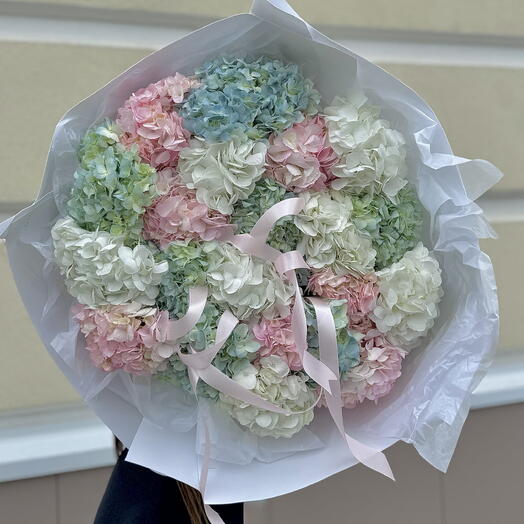 Букет гортензий (розовые,голубые,белые), монобукет миксовых гортензий в упаковке, большой букет гортензий
