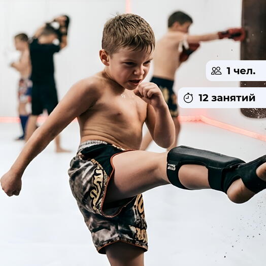 Сильнейший. Курс занятий по единоборствам для детей