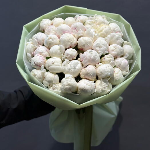 Белые пионы отборные