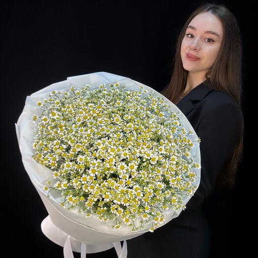 Пышный букет ромашек (51 матрикария) (мб 350)