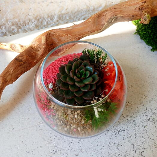 Microflora