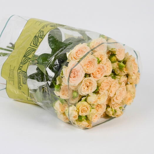 Пачка кустовых роз "Карамель" 50см (10 шт)