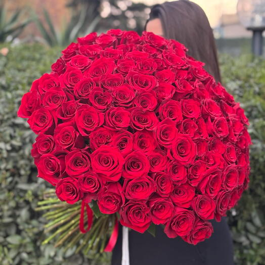 Red rose