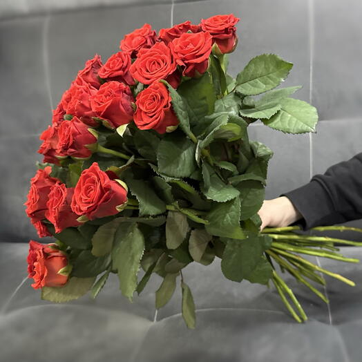 Роза Ажурная Эльторо 21