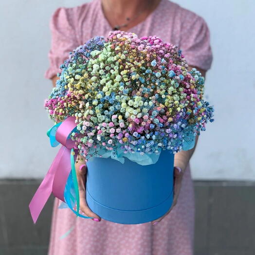 Гисики💙🩷