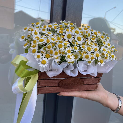 Ромашки в лукошке