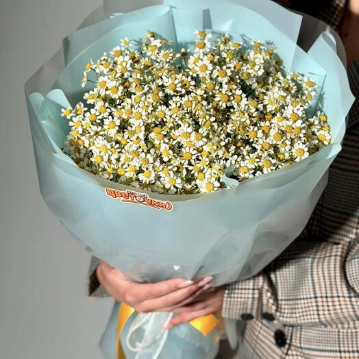 Полевой люкс 🌼