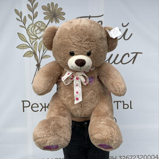 Мишка Топтыжка