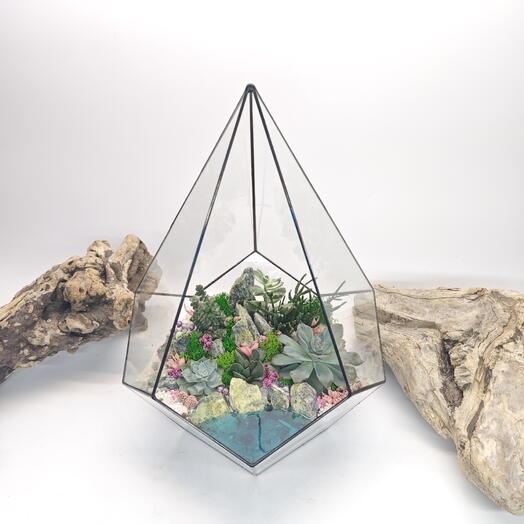 Florarium with succulents "Velvet tenderness" with lake Drop 26x35cm