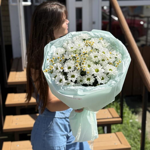 Милые ромашки