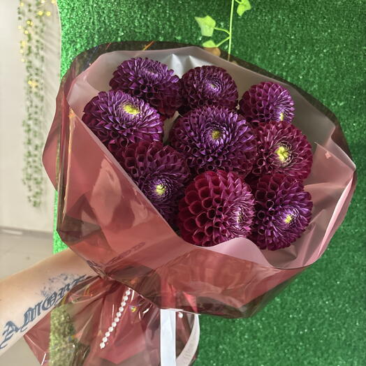 Георгины космические 🚀 💜