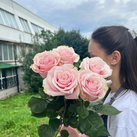 Букет из 5 Пинк Мондиал
