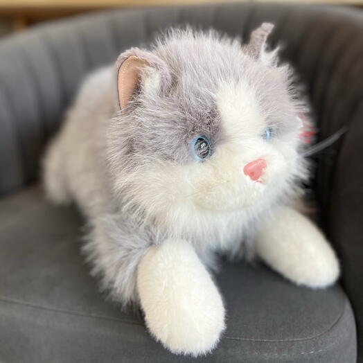 Поющий котик