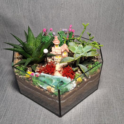 Флорариум с хавортией - цветы в подарок на день рождение