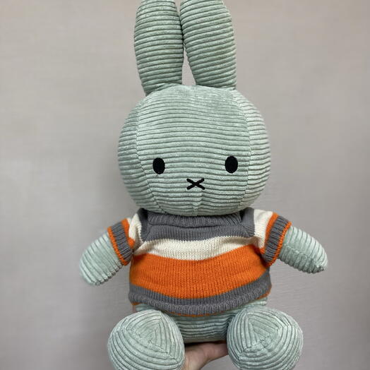 Заяц в футболочке 🐰