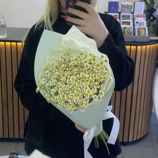 Охапка ромашек с поля 🌾