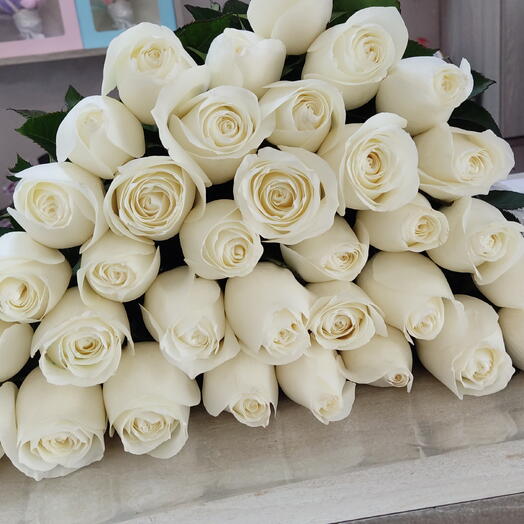 Роза Эквадор белая поштучно