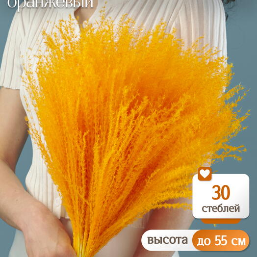 Мискантус оранжевый 30 шт. Высший сорт М275