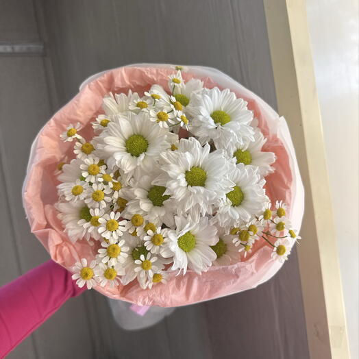 🎀с ромашками