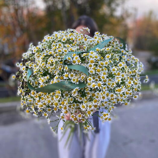 Букет-моно "Ромашки полевые" 🌱