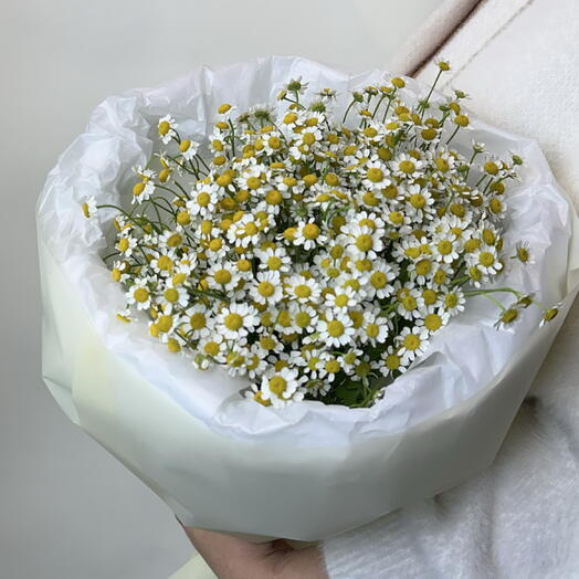 Букет из 11 ромашек