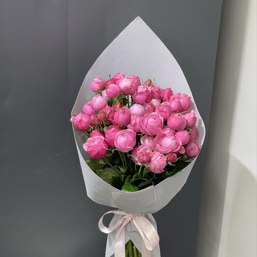 Sylvia Pink