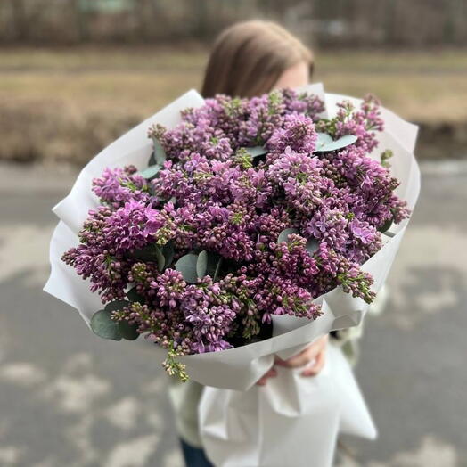 Огромный букет свежей сирени