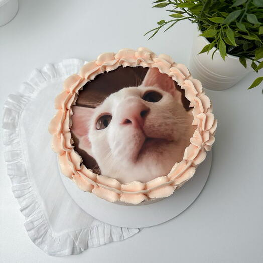 Торт с котом
