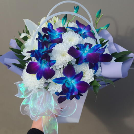 Северное Сияние