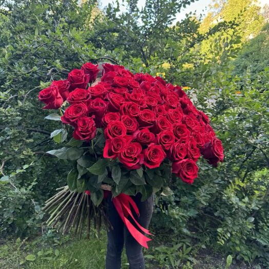 Розы 101 штука 90