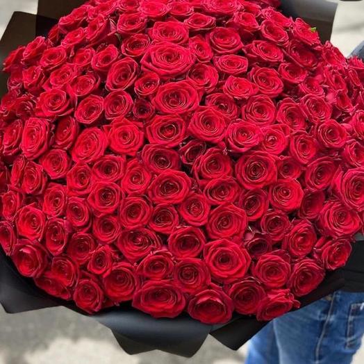 101 красная Роза 🌹