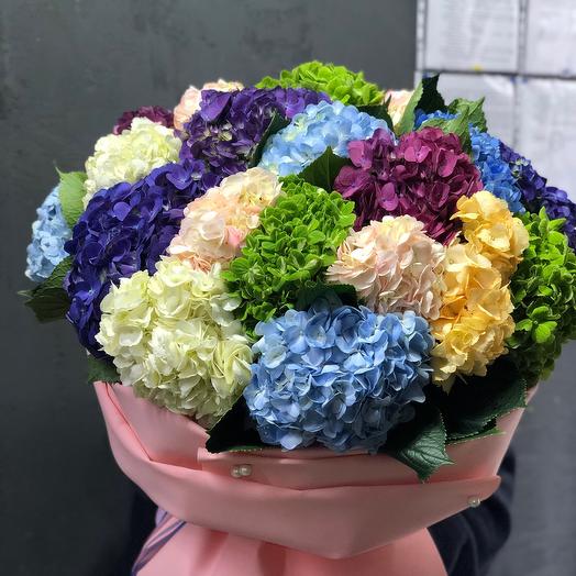 Mezcla de Hortensia