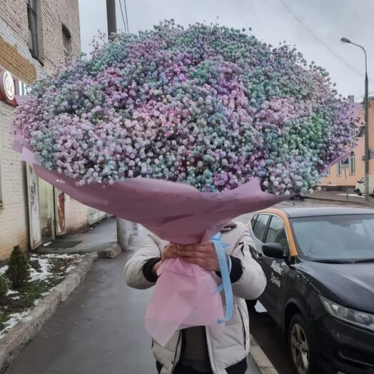 Моно из гипсофилы