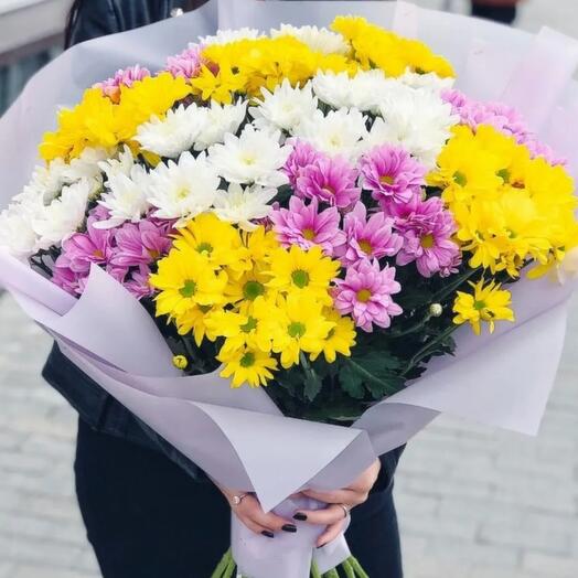 Хризантема микс 💕