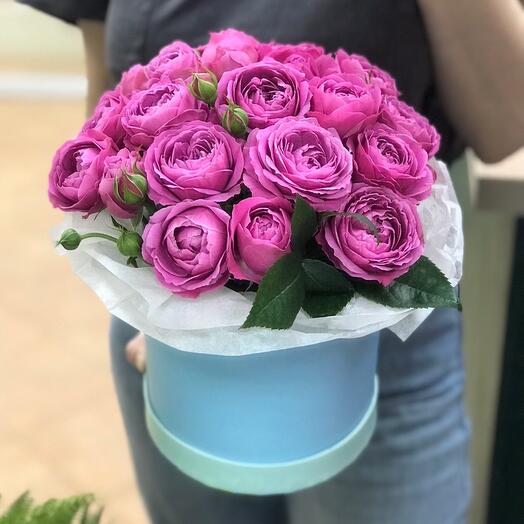 Pyonoroses in a box