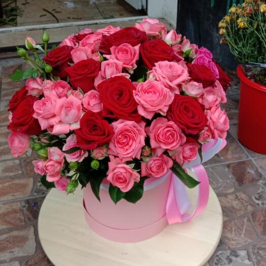 Box "Charm" of bush roses