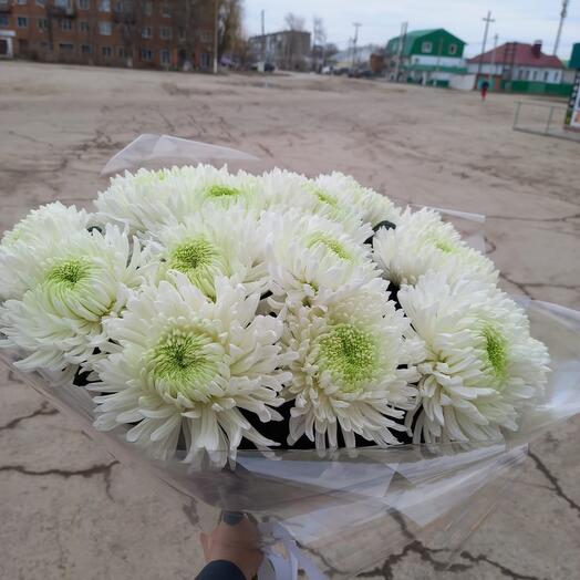 Гигантские хризантемы