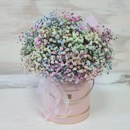 Rainbow gypsophila