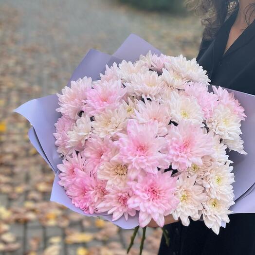 Pastel chrysanthemum